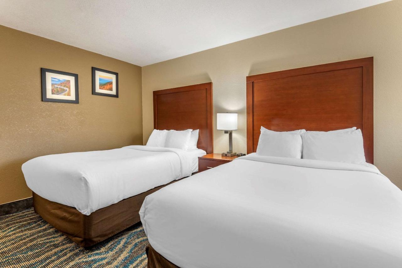 Comfort Inn Asheville East-Blue Ridge Pkwy Access Esterno foto