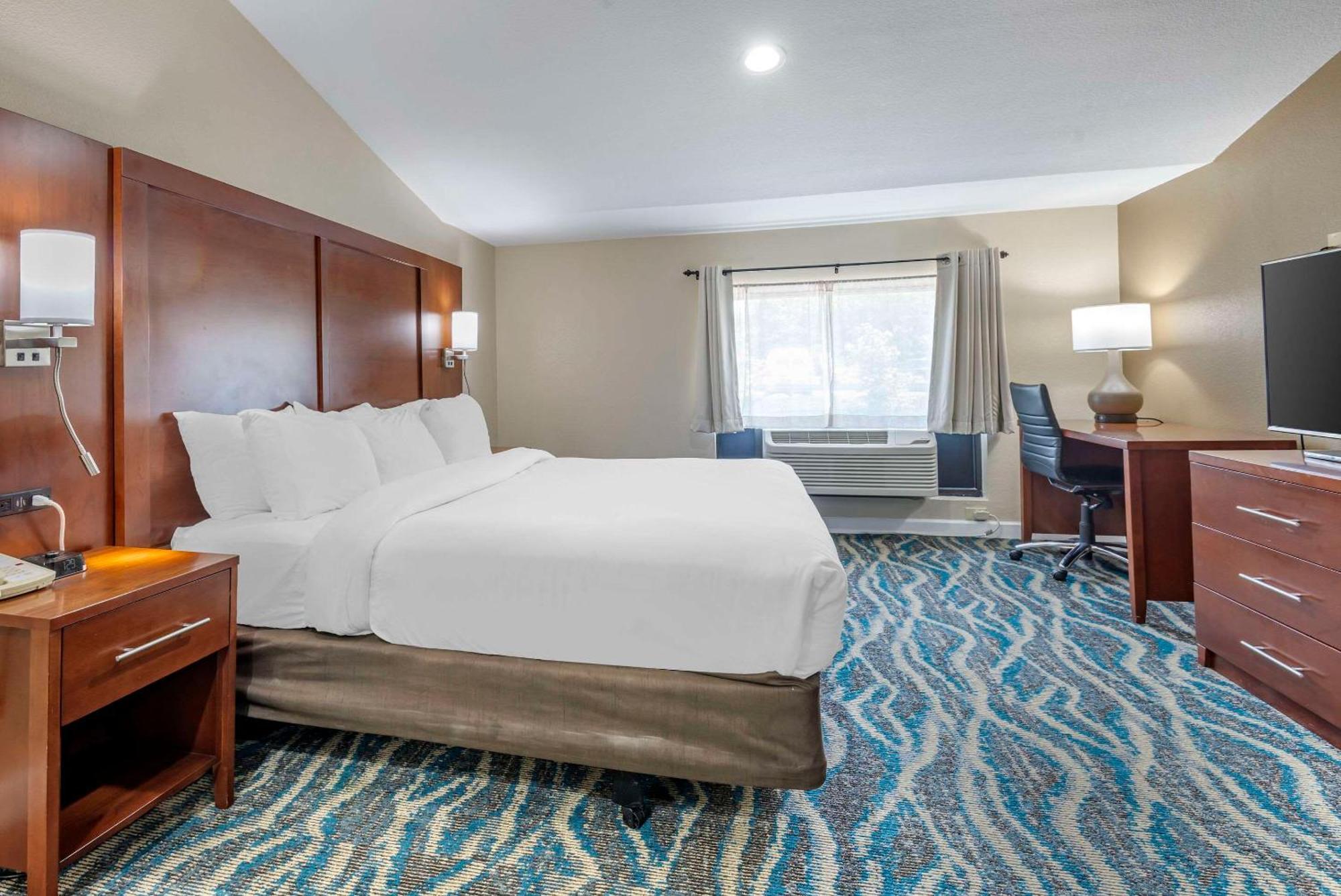Comfort Inn Asheville East-Blue Ridge Pkwy Access Esterno foto