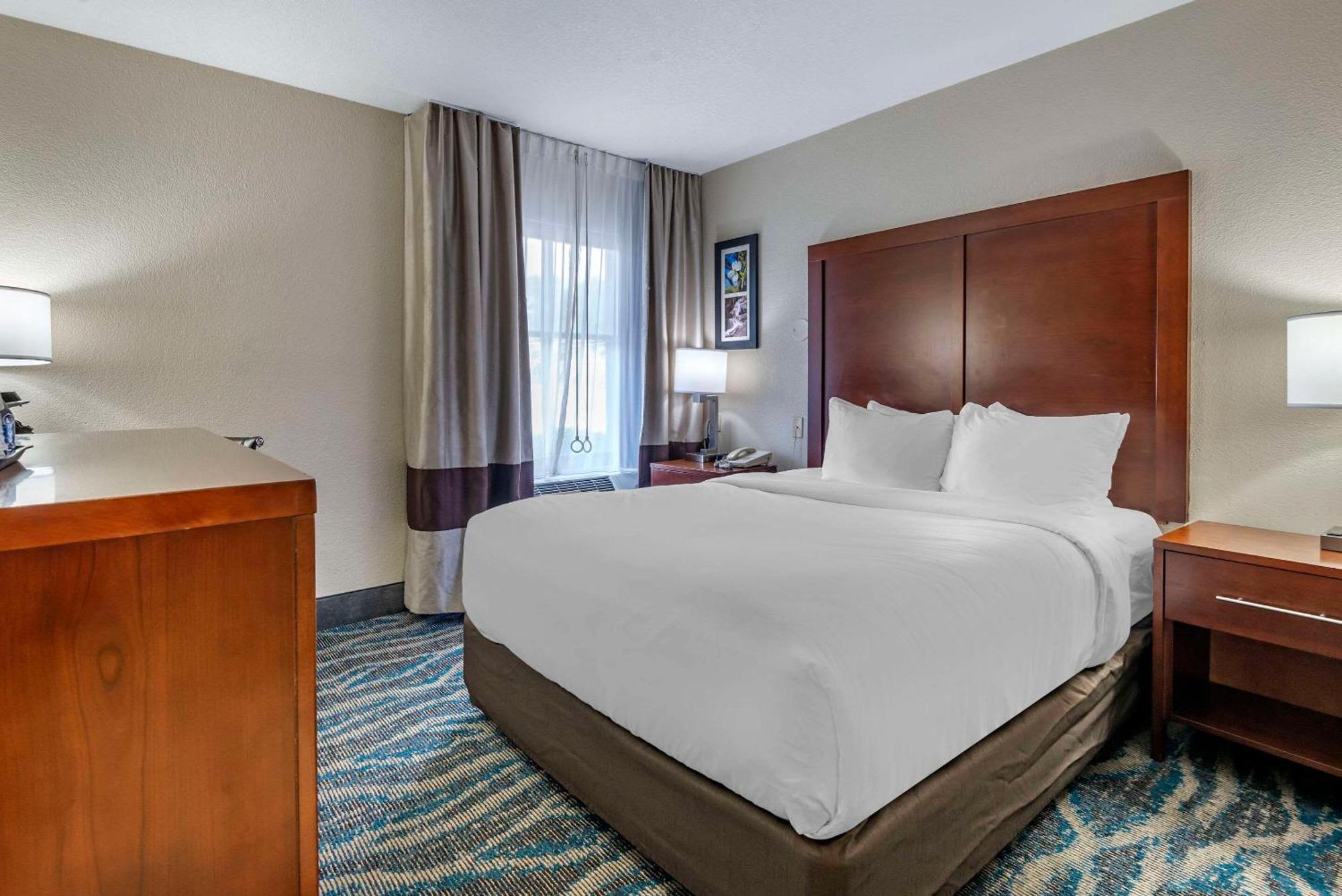 Comfort Inn Asheville East-Blue Ridge Pkwy Access Esterno foto